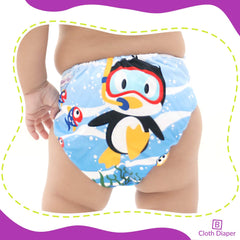 Washable & Reusable Baby Cloth Diaper With Adjustable Size Button (Set of 2)