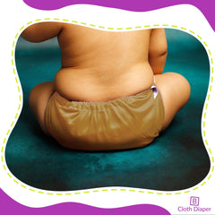 Reusable Baby Cloth Diaper with Adjustable Snap Buttons and Insert (1 Diaper & 2 Pcs Insert)