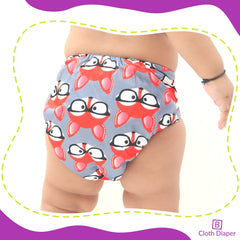 Reusable Baby Cloth Diaper with Adjustable Snap Buttons and Inserts (Set of 2)