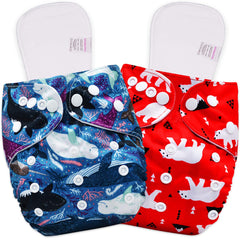 Reusable Baby Cloth Diaper with Adjustable Snap Buttons and Inserts (Set of 2)
