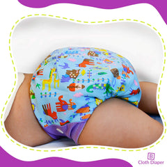 Washable & Reusable Baby Cloth Diaper With Adjustable Size Button (Set of 4)