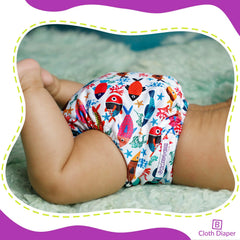 Reusable Baby Cloth Diaper with Adjustable Snap Buttons and Insert (Set of 1)