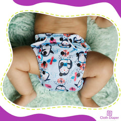 Washable & Reusable Baby Cloth Diaper With Adjustable Size Button (Set of 4)