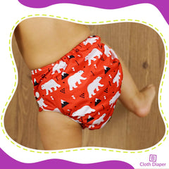 Reusable Baby Cloth Diaper with Adjustable Snap Buttons and Inserts (Set of 2)