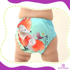 Washable & Reusable Baby Cloth Diaper With Adjustable Size Button (Set of 4)
