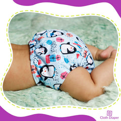 Reusable Baby Cloth Diaper with Adjustable Snap Buttons and Insert (Set of 1)