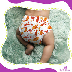 Reusable Baby Cloth Diaper with Adjustable Snap Buttons and Insert (1 Diaper & 2 Pcs Insert)