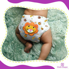 Reusable Baby Cloth Diaper with Adjustable Snap Buttons and Insert (Set of 1)
