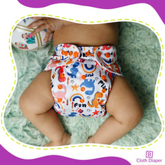 Reusable Baby Cloth Diaper with Adjustable Snap Buttons and Inserts (Set of 2)