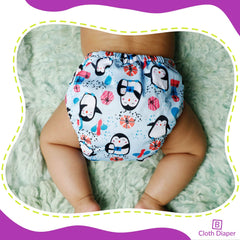 Reusable Baby Cloth Diaper with Adjustable Snap Buttons and Inserts (Set of 2)