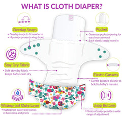Reusable Baby Cloth Diaper with Adjustable Snap Buttons and Insert (Set of 1)