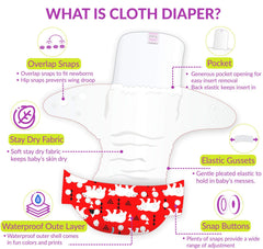 Reusable Baby Cloth Diaper with Adjustable Snap Buttons and Inserts (Set of 2)