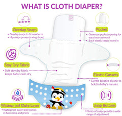 Reusable Baby Cloth Diaper with Adjustable Snap Buttons and Inserts (Set of 2)