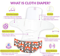 Reusable Baby Cloth Diaper with Adjustable Snap Buttons and Inserts (Set of 2)