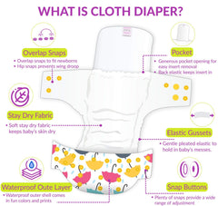 Reusable Baby Cloth Diaper with Adjustable Snap Buttons and Inserts (Set of 2)