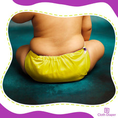 Reusable Baby Cloth Diaper with Adjustable Snap Buttons and Insert (1 Diaper & 2 Pcs Insert)