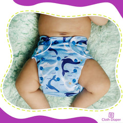Reusable Baby Cloth Diaper with Adjustable Snap Buttons and Inserts (Set of 2)
