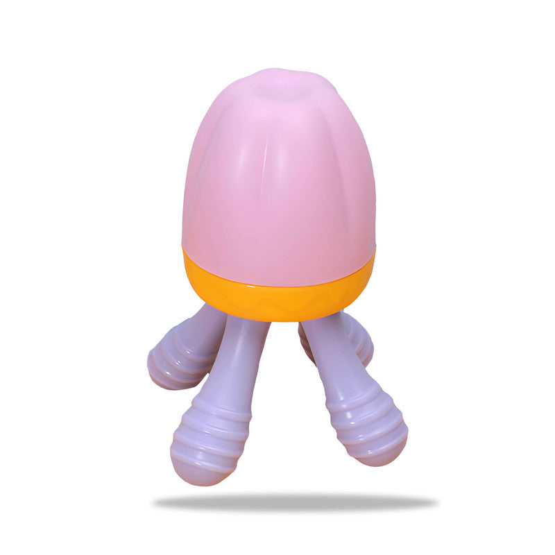 Baby Feeding Fruit Nibbler for Baby (Pink)